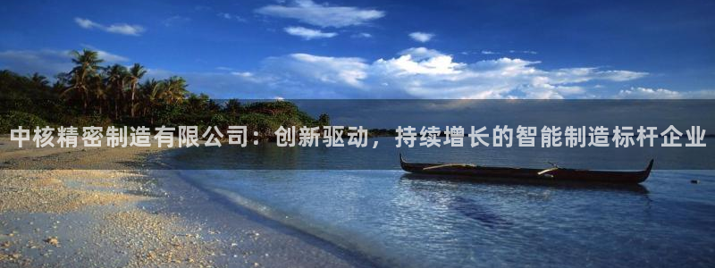 彩神v8官网版：中核精密制造有限公司：创新驱动，持续增长的智能制造标杆企业