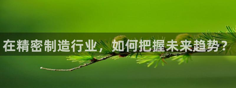 彩神v8下载app5.0：在精密制造行业，如何把握未来趋势？