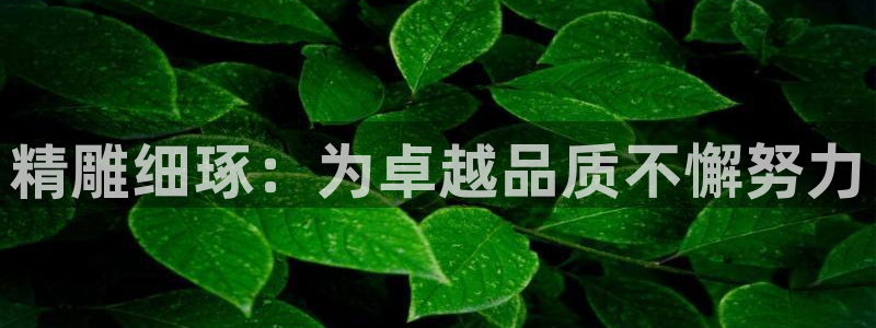 彩神8是正规平台吗知乎：精雕细琢：为卓越品质不懈努力
