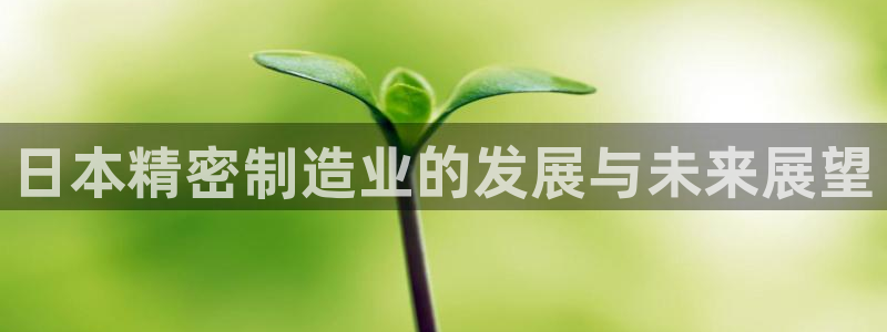 彩神8官网下：日本精密制造业的发展与未来展望