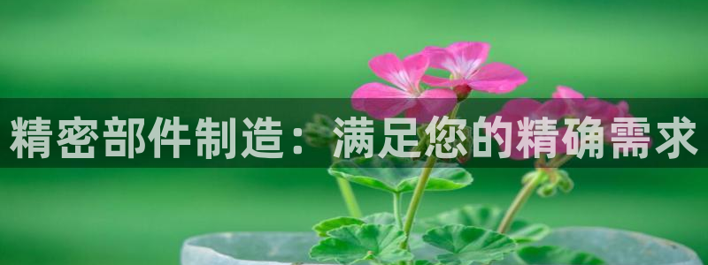 下载彩神通关注码：精密部件制造：满足您的精确需求