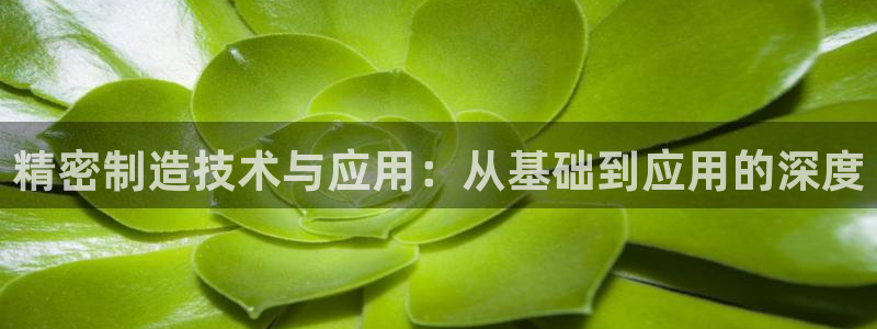 彩神app能挣到钱吗：精密制造技术与应用：从基础到应用的深度