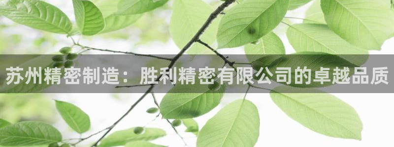 彩神ix是真的吗：苏州精密制造：胜利精密有限公司的卓越品质
