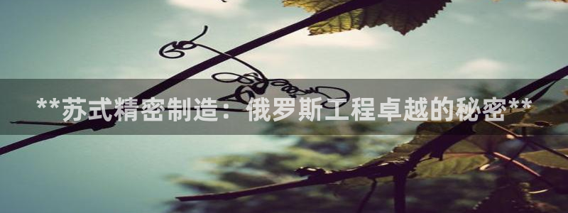 彩神vll趣投彩：**苏式精密制造：俄罗斯工程卓越的秘密**