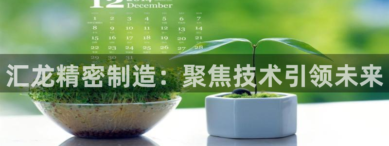 彩神v8手机客户端怎么下载：汇龙精密制造：聚焦技术引领未来