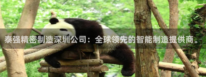 彩神购彩-购彩大厅入口：泰强精密制造深圳公司：全球领先的智能制造提供商。