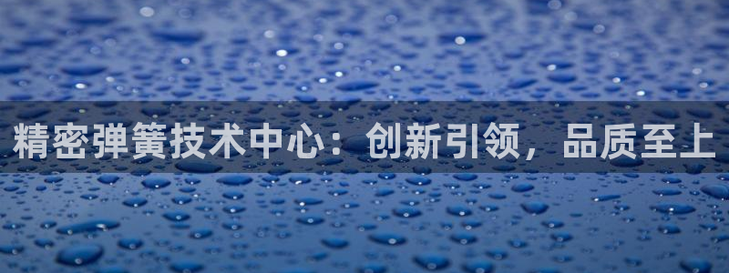 彩神到底能不能赚钱：精密弹簧技术中心：创新引领，品质至上