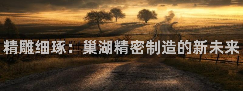 彩神大发如何观察走势：精雕细琢：巢湖精密制造的新未来