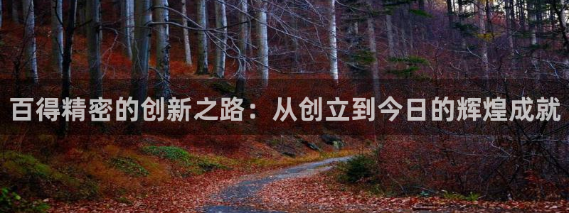 所有彩神购买首页：百得精密的创新之路：从创立到今日的辉煌成就