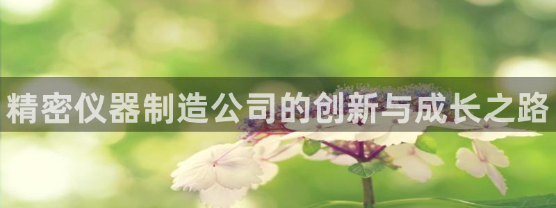 彩神viii是正规平台吗?：精密仪器制造公司的创新与成长之路