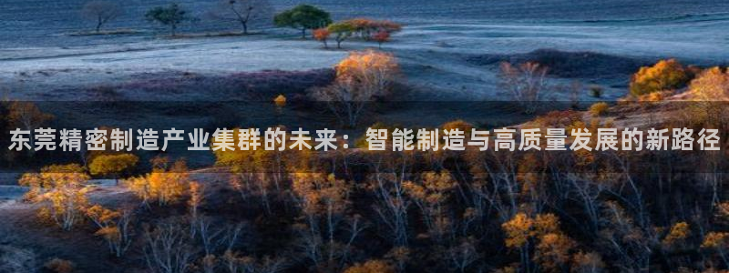 在彩神网输了六万多怎么拿回来：东莞精密制造产业集群的未来：智能制造与高质量发展的新路径