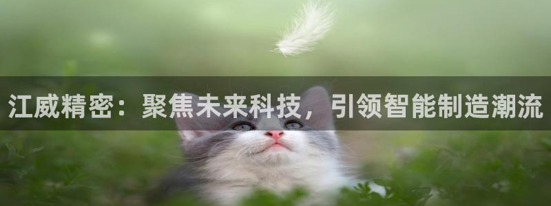 彩神Vii购彩-购彩大厅：江威精密：聚焦未来科技，引领智能制造潮流