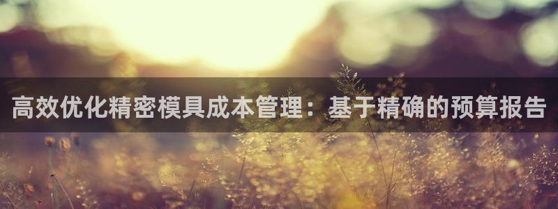 彩神v8下载网址：高效优化精密模具成本管理：基于精确的预算报告