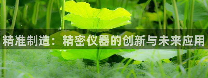 彩神是什么平台：精准制造：精密仪器的创新与未来应用