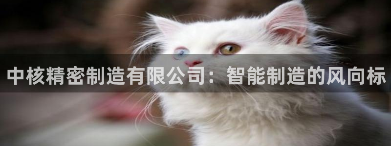彩神v争霸有限公司：中核精密制造有限公司：智能制造的风向标