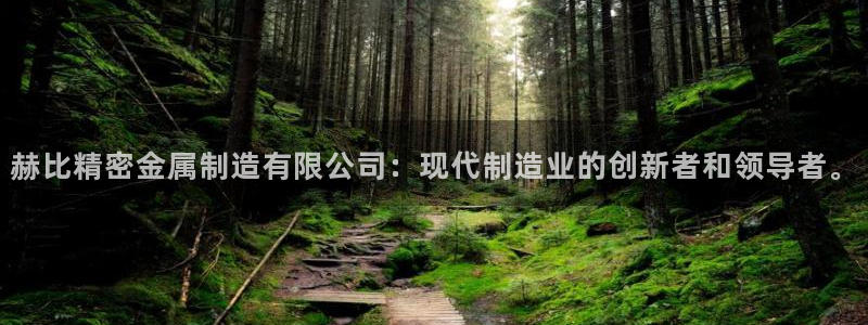 彩神ⅴll用户登录：赫比精密金属制造有限公司：现代制造业的创新者和领导者。