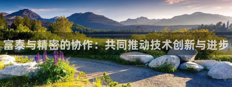 彩神v8下载app5.0：富泰与精密的协作：共同推动技术创新与进步